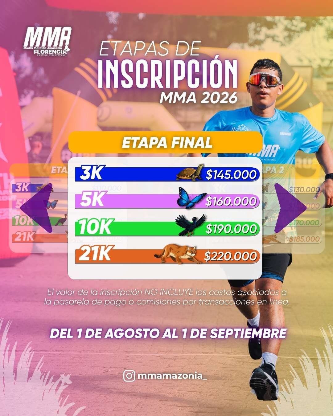 MMA PRECIOS ETAPA FINAL